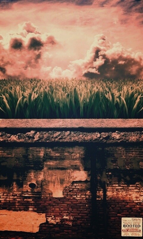 По другю сторону обои