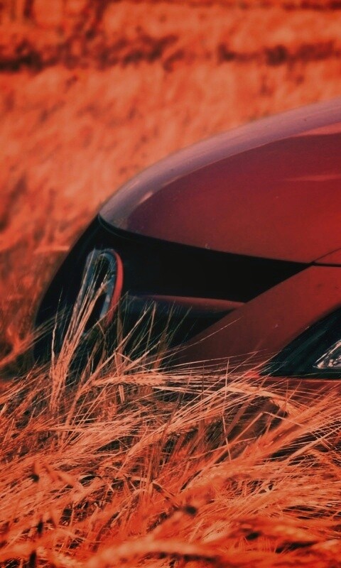 Мазда в пшенице обои