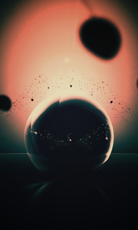 Оплодотворение обои