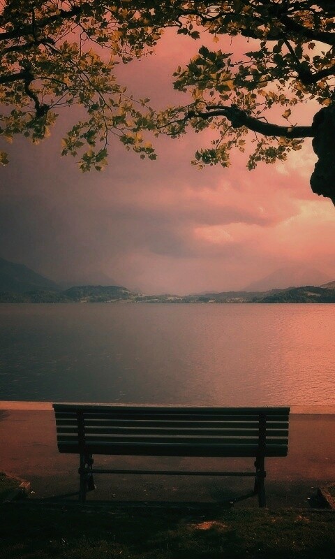 Скамейка на берегу обои