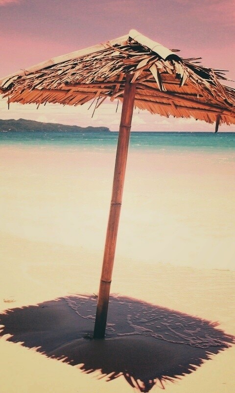 Тросниковый зонт обои