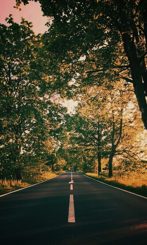 Прямая дорога обои