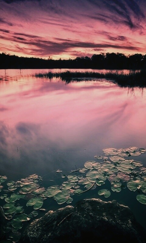 Озеро поздним вечером обои