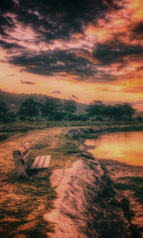 Скамейка у озера обои