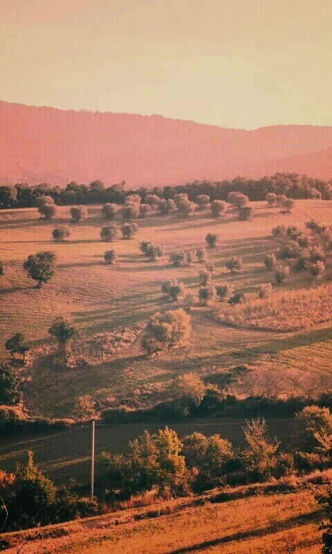 Ферма в долине обои