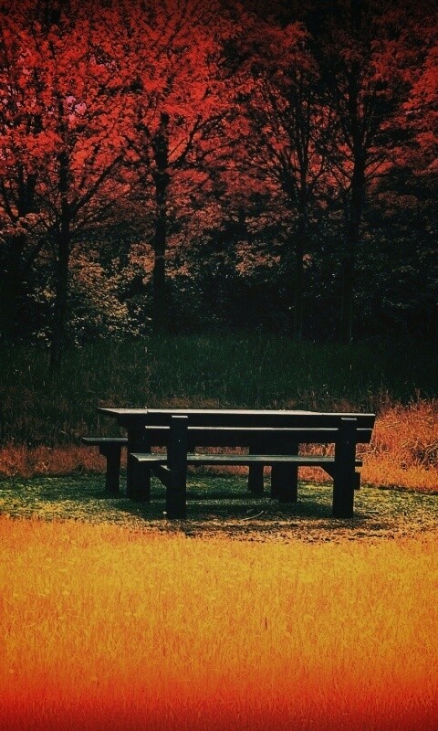 Осенние краски обои