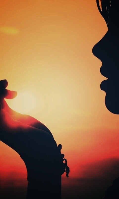 Солнце в ладони обои