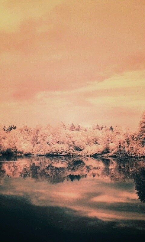 Зимний пейзаж обои