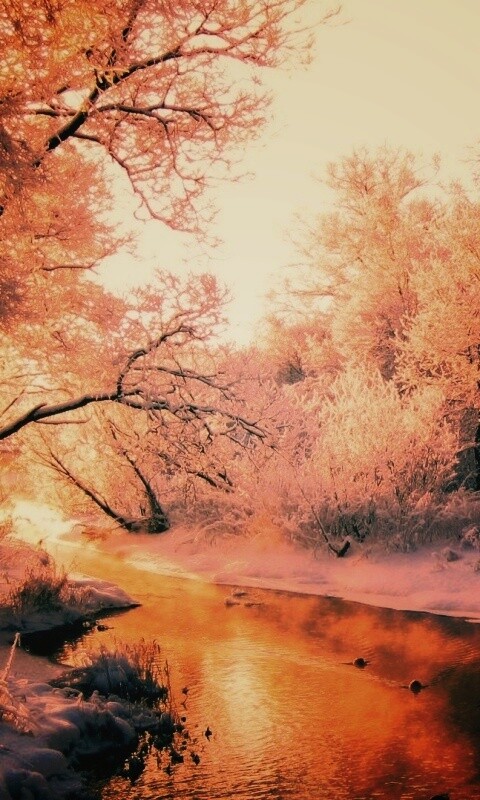 Зимняя река обои