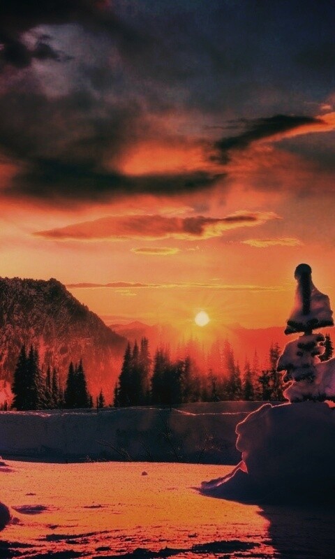 Зимнее солнце обои