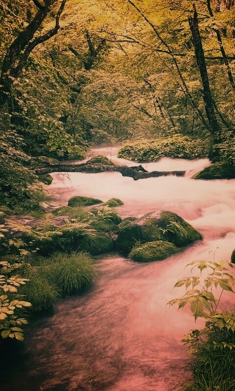 Лесная река обои