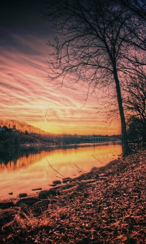 Осенний закат обои