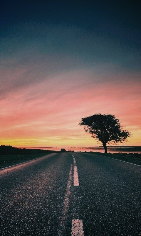 Дорога обои