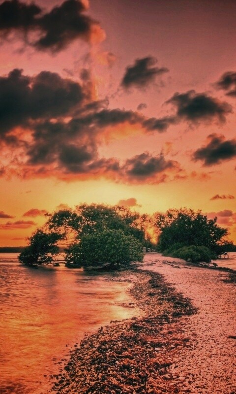 Побережье на закате обои