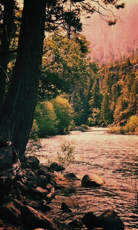 Национальный заповедник обои
