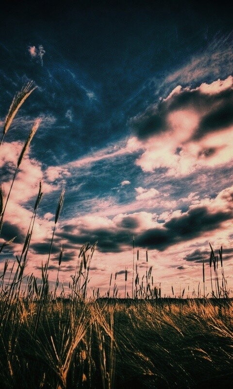 HDR Поле обои