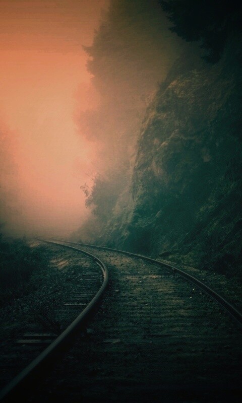 Рельсы уходя в туман обои