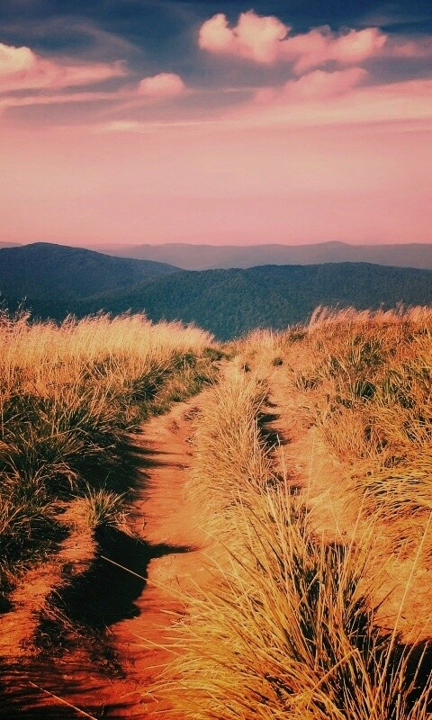 Дорога высоко в горах обои