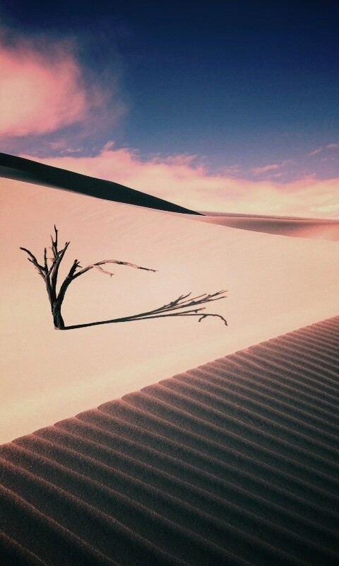 Дюны белого песка обои