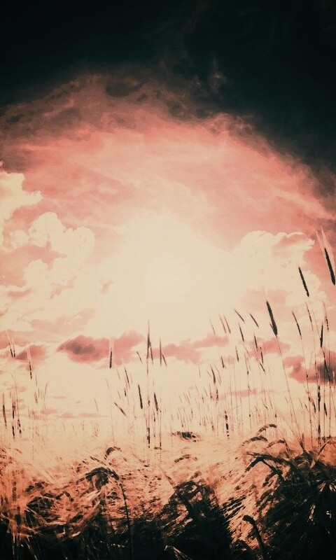 Сюрреалистичная трава обои