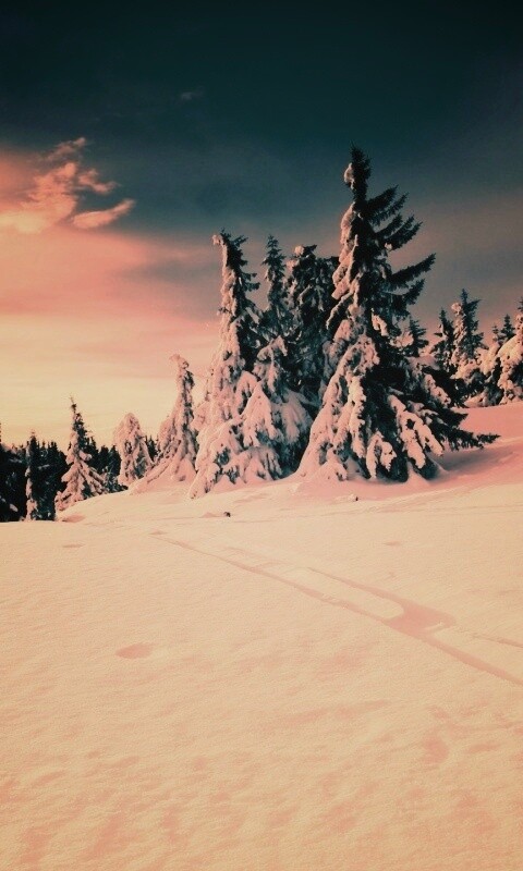 Зимние просторы обои