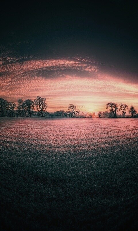 Поле широкоугольным объективом обои