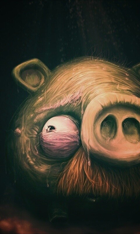 Свинья из Angry Birds обои