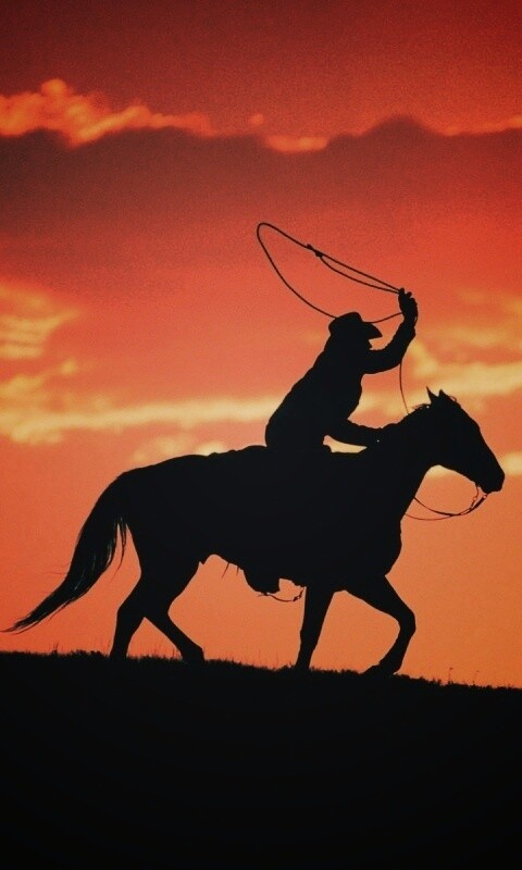 Силуэт ковбоя на закате обои