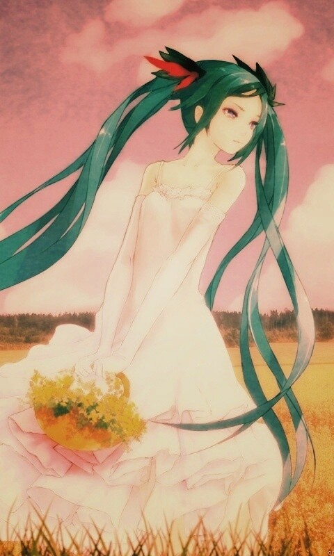 Хатсуне в поле обои