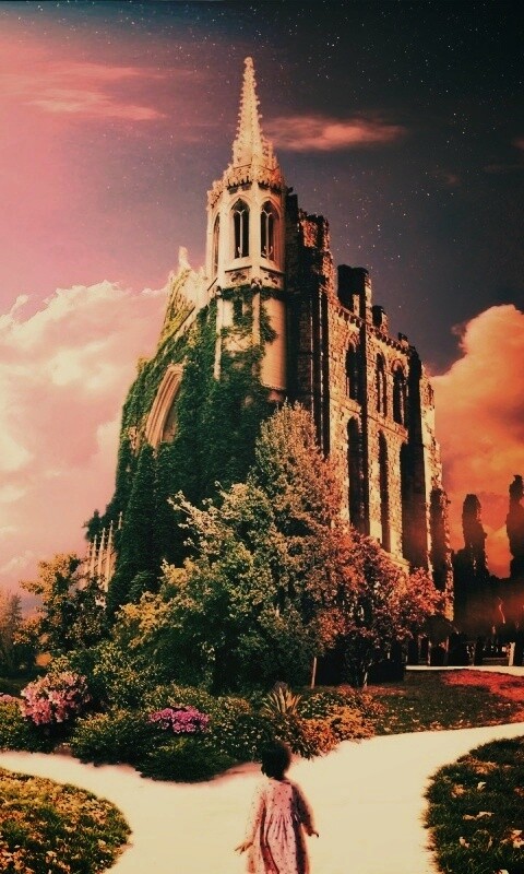 Ты выбираешь свой путь обои