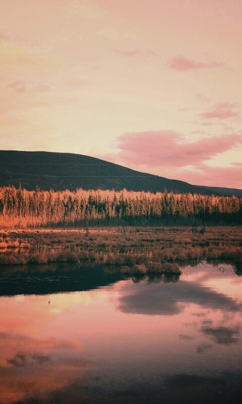 Осеннее озеро обои