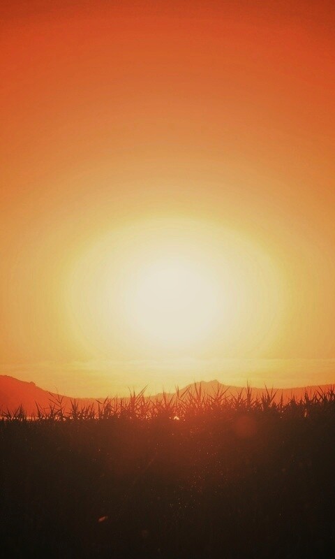 Сельский закат обои