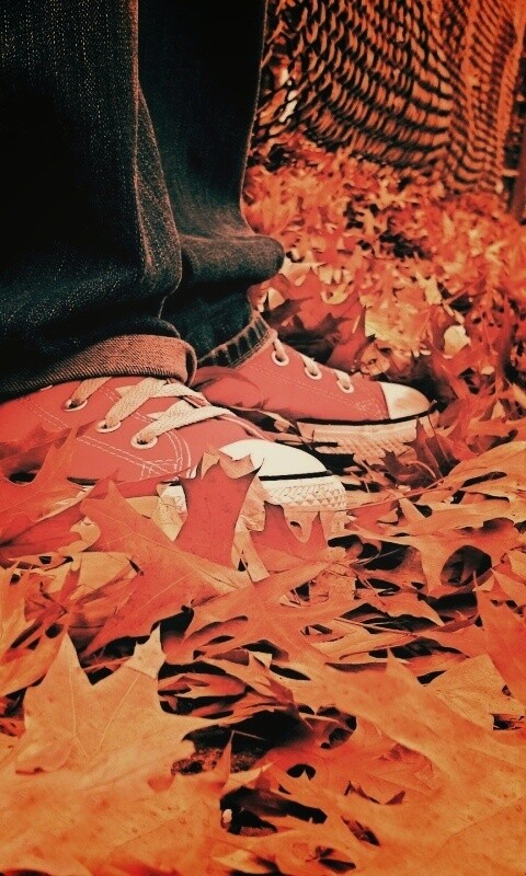 Оранжевые кеды обои