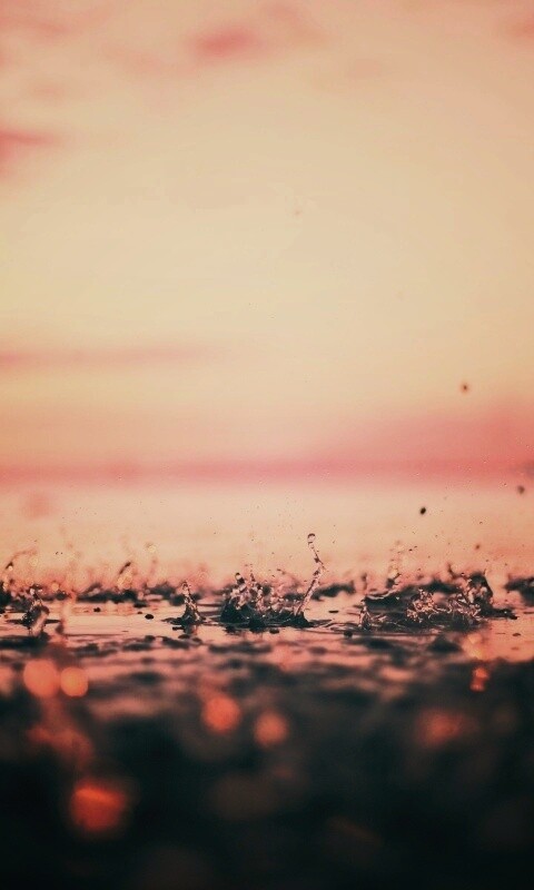 Дождь в макро обои