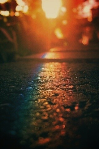 Макро радуга на камне обои