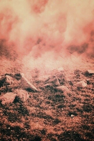 Туман на склоне обои