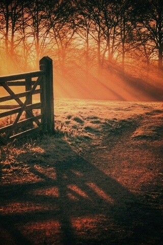 Открытые ворота обои