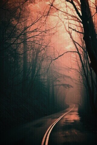 В туман обои