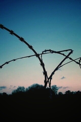 Колючая проволка обои