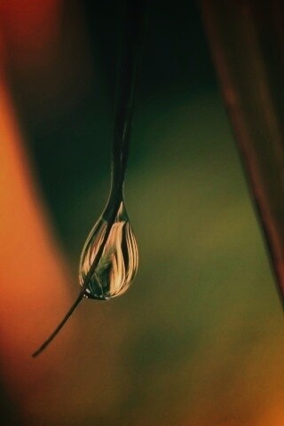 Стекающая капля обои