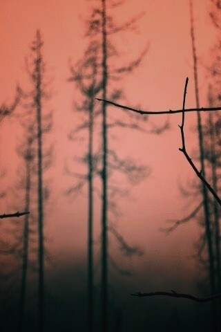 Безысходность обои