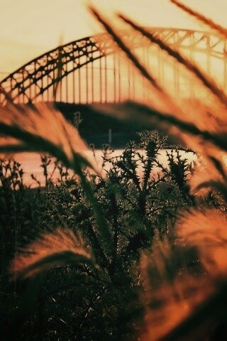 Железнодорожный мост обои