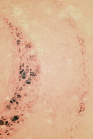 Мыльная пена обои