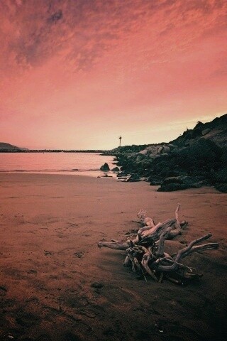 Коряга не берегу обои