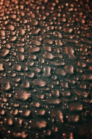 Вода собирается в капли обои