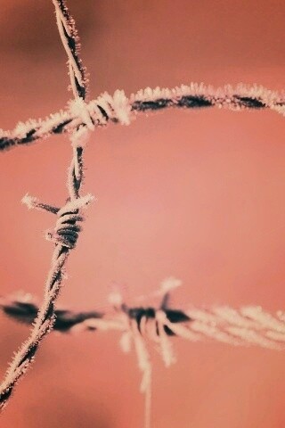 Замерзшая колючая проволока обои