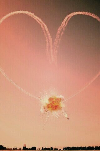 Цветы были бы лучшей идеей обои