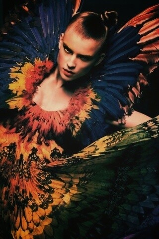 Костюм жар птицы обои