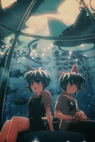 В океанариуме обои