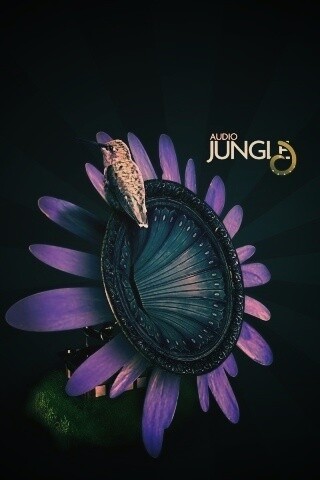Звуки джунглей обои
